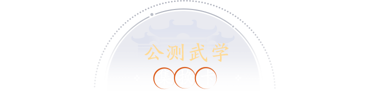 公测武学集换卡